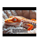 映画風 レオパ（個別スタンプ：6）
