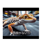 映画風 レオパ（個別スタンプ：17）