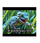 映画風 レオパ（個別スタンプ：24）
