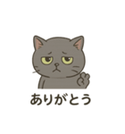 ねこのハゼちゃん（個別スタンプ：1）
