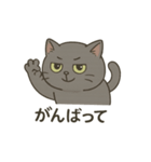 ねこのハゼちゃん（個別スタンプ：2）
