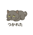ねこのハゼちゃん（個別スタンプ：3）