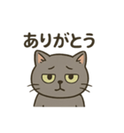 ねこのハゼちゃん（個別スタンプ：8）
