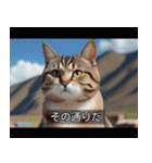 映画風 ねこ（個別スタンプ：4）