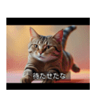 映画風 ねこ（個別スタンプ：5）