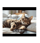映画風 ねこ（個別スタンプ：6）