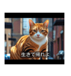 映画風 ねこ（個別スタンプ：8）