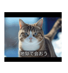 映画風 ねこ（個別スタンプ：9）
