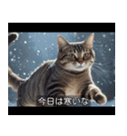 映画風 ねこ（個別スタンプ：11）