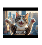 映画風 ねこ（個別スタンプ：12）