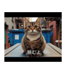 映画風 ねこ（個別スタンプ：13）