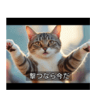 映画風 ねこ（個別スタンプ：16）