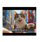 映画風 ねこ（個別スタンプ：17）