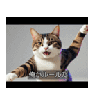 映画風 ねこ（個別スタンプ：18）