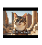 映画風 ねこ（個別スタンプ：19）
