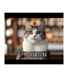 映画風 ねこ（個別スタンプ：23）