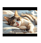 映画風 ねこ（個別スタンプ：25）