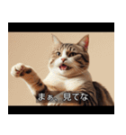 映画風 ねこ（個別スタンプ：29）