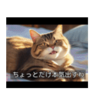 映画風 ねこ（個別スタンプ：30）