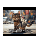 映画風 ねこ（個別スタンプ：33）