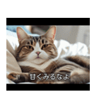 映画風 ねこ（個別スタンプ：34）