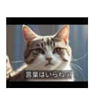映画風 ねこ（個別スタンプ：36）
