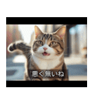 映画風 ねこ（個別スタンプ：37）