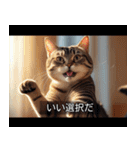 映画風 ねこ（個別スタンプ：39）