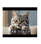 映画風 ねこ（個別スタンプ：40）