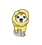 わんぱくひめちゃんのニコニコウォーキング（個別スタンプ：19）