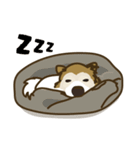 わんぱくひめちゃんのニコニコウォーキング（個別スタンプ：38）