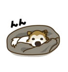 わんぱくひめちゃんのニコニコウォーキング（個別スタンプ：39）