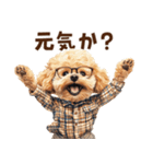 がんばる父トイプードル（個別スタンプ：2）