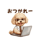 がんばる父トイプードル（個別スタンプ：3）
