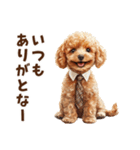 がんばる父トイプードル（個別スタンプ：5）