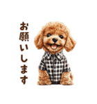 がんばる父トイプードル（個別スタンプ：12）