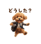 がんばる父トイプードル（個別スタンプ：13）