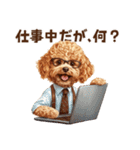 がんばる父トイプードル（個別スタンプ：17）