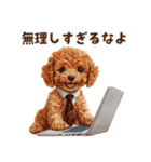 がんばる父トイプードル（個別スタンプ：19）