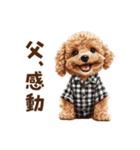 がんばる父トイプードル（個別スタンプ：24）