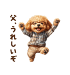 がんばる父トイプードル（個別スタンプ：25）