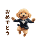 がんばる父トイプードル（個別スタンプ：31）