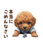 がんばる父トイプードル（個別スタンプ：34）