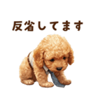 がんばる父トイプードル（個別スタンプ：35）