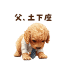 がんばる父トイプードル（個別スタンプ：37）
