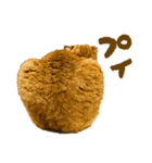 ニケとラグのほんわかスタンプ（個別スタンプ：21）