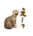 ニケとラグのほんわかスタンプ（個別スタンプ：22）