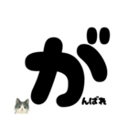 【ほっこり】ぽてフォントの白黒ねこ（個別スタンプ：8）