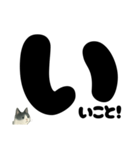 【ほっこり】ぽてフォントの白黒ねこ（個別スタンプ：36）