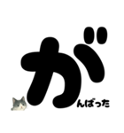 【ほっこり】ぽてフォントの白黒ねこ（個別スタンプ：39）